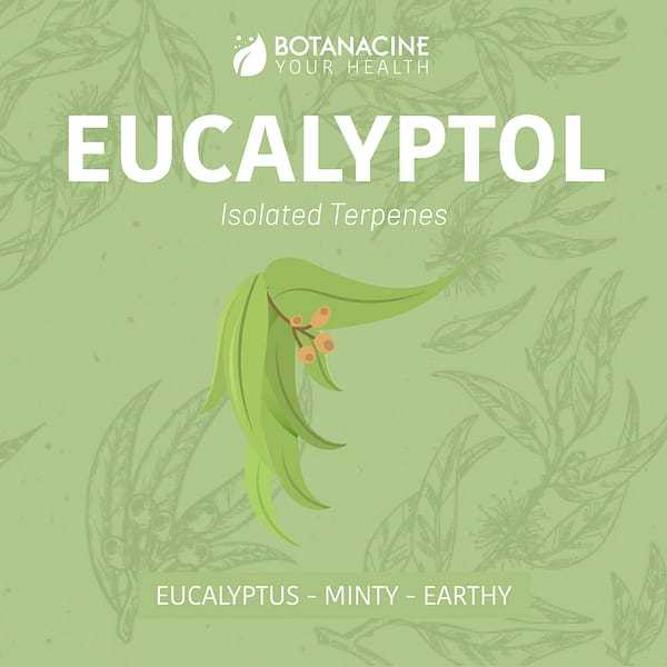 Terpene eucalyptol