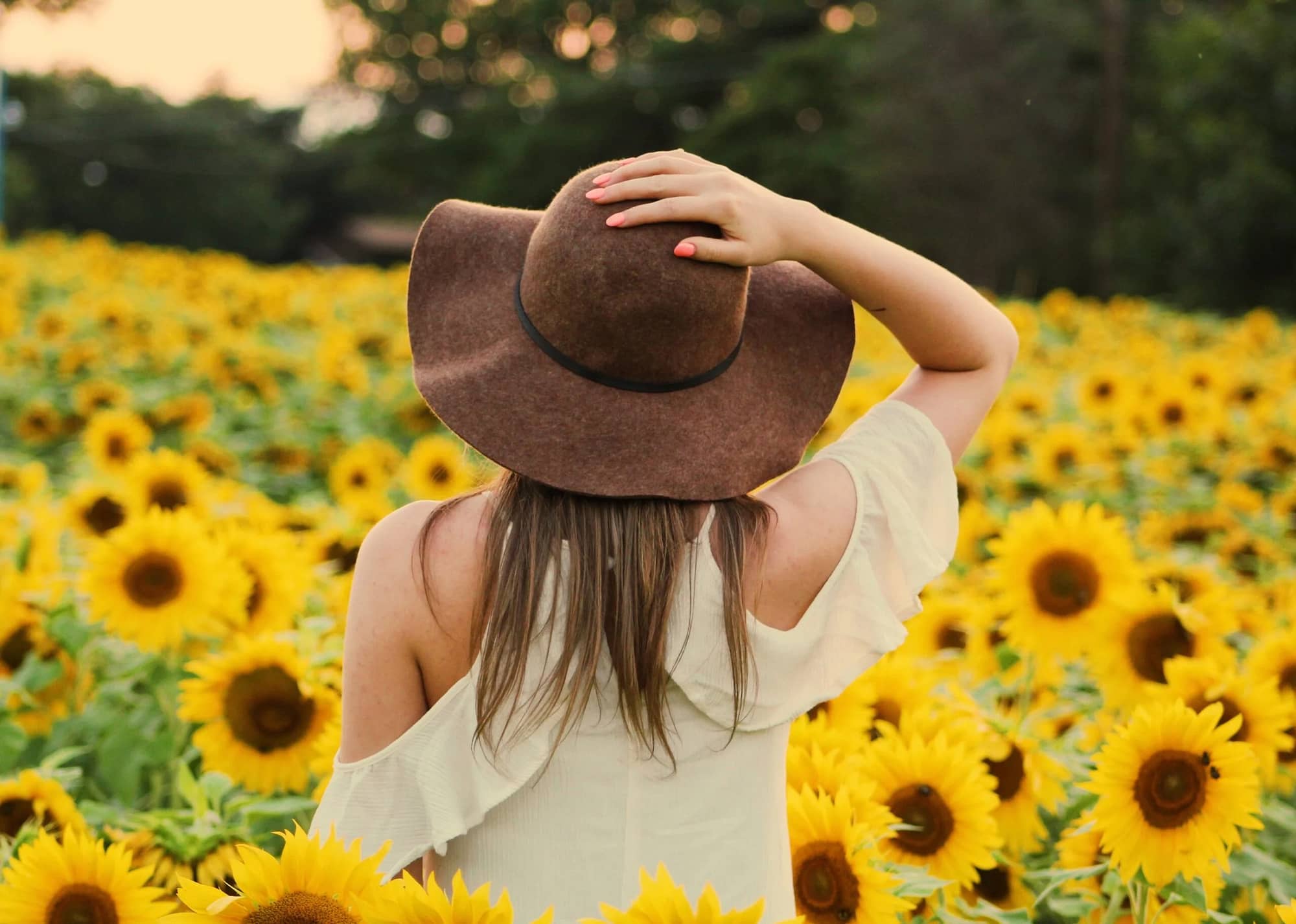 girl with back to us standing in front of sunflowers