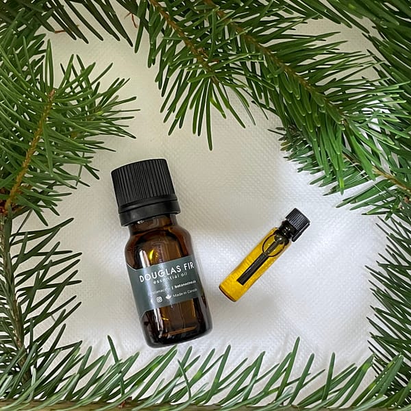 10 ml bottle of Douglas fir essential oil
