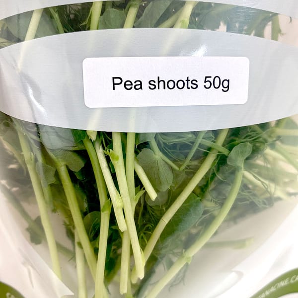 micro green pea shoots